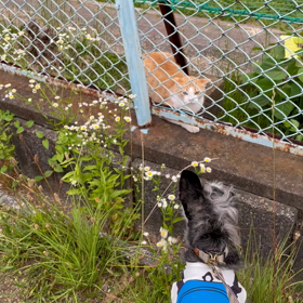 諦めは早くの画像