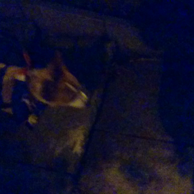 ガコンガコンガコンの画像