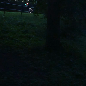 セントラル・パークの蛍の画像