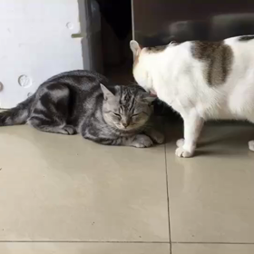 この記事の画像