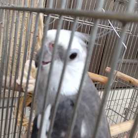 ご気分がよろしいようで⤴️⤴️の画像