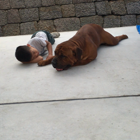 上の子と上の子（＾ν＾）の画像