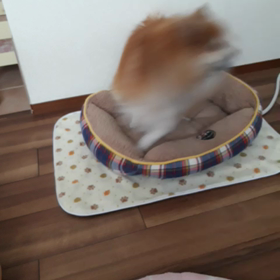 ぐるぐるぐるぐるの画像