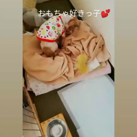 楽しそうな朝の画像