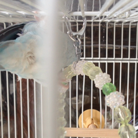 元気で可愛いの画像