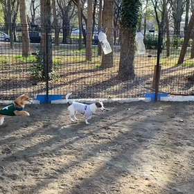 待ってぇ〜の画像