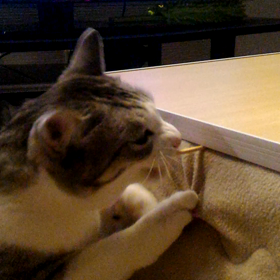 2020年1月1日(水)の画像