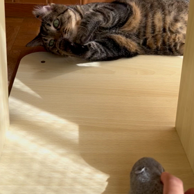 2023年9月21日(木)の画像