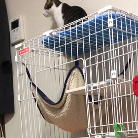 見たぞ〜の画像