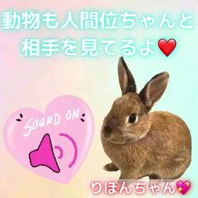 多種多頭♡動物の世界にも色々あるの画像