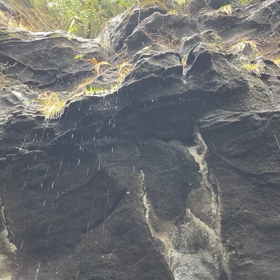 鋸山の癒しスポットの画像