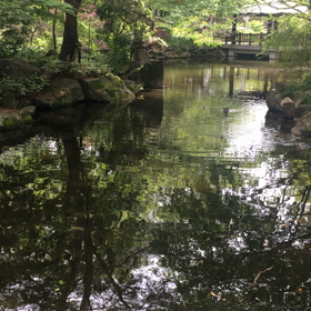 井草森公園の画像