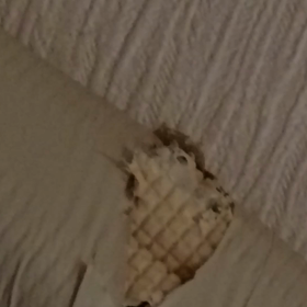 若いなぁ〰の画像