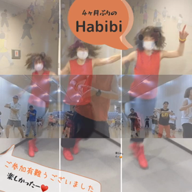 Habibi再開の画像