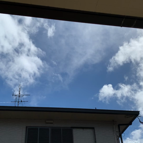 被害なしの画像