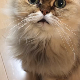 今日は…の画像