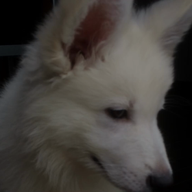 生い立ちの画像