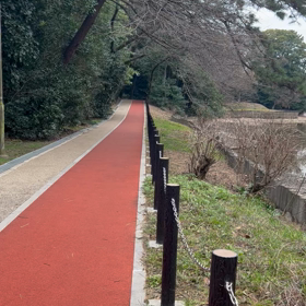 今年初めてウグイスの声を聞いたの画像