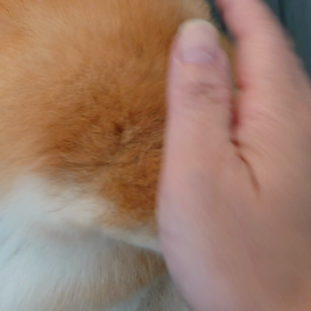 今朝の翔太郎の画像