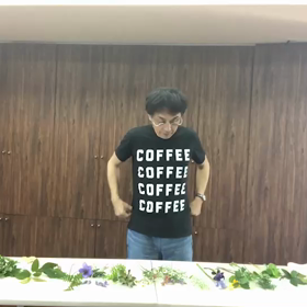 マミの花壇の画像