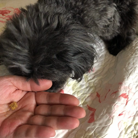 少しずつ食べていますの画像