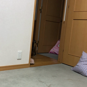 痛み痒みで眠れない夜…の画像