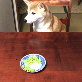 さくらが座った！の画像