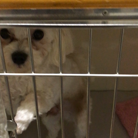 お泊まり♡こたろうくんの画像