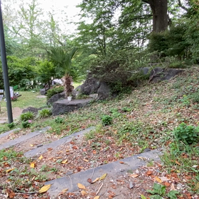 朝のパトロールの画像