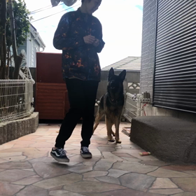 訓練復習もどき！？の画像