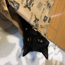 空空日記 30♪の画像