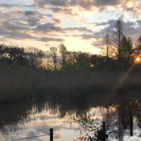 大自然の美しさはいつだって。。。の画像