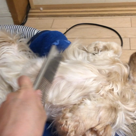 寝ちゃうの画像