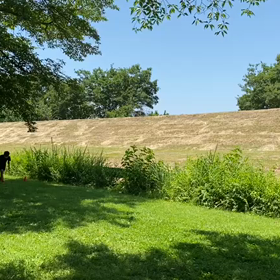 5月29日 クラブ交流リレー練習(芝生)⑧の画像