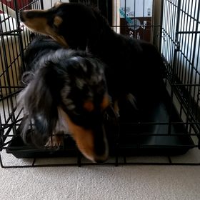 一緒がいい。の画像