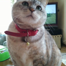 親バカですみません❗の画像