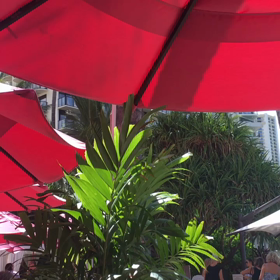 昨日の朝のワイキキ！の画像