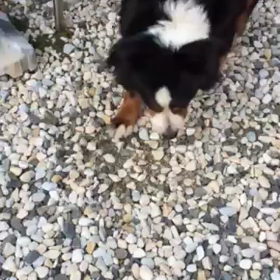 みーんな仲良しの画像