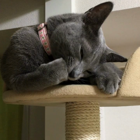 2歳になりましたの画像