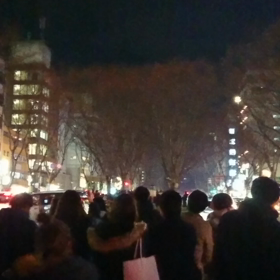 スターライトウインクの画像