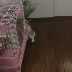 あの子には内緒の、、、の画像