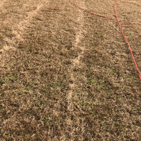 12月3日  教えてないけどの画像