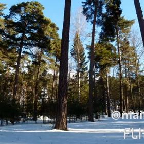 北欧写真の画像