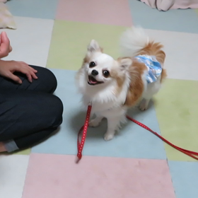 ほぼ出来てる?の画像