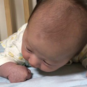 うつ伏せ練習の画像