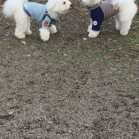 PM チビクロハウスの画像