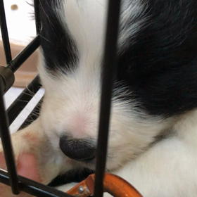 お母さん 休憩の画像