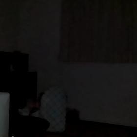 またまた登場…オーブの舞の画像