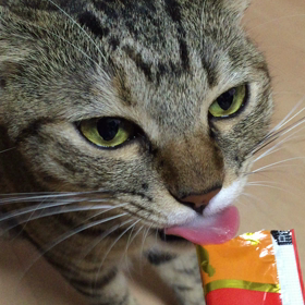 おやつの時間の画像