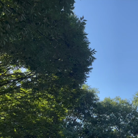 吉方位ドライブ♬の画像